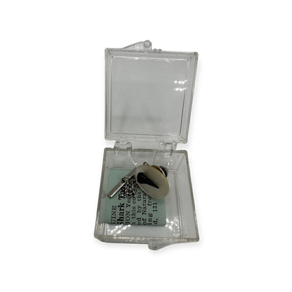 Genuine shark tooth cuff link in a clear box